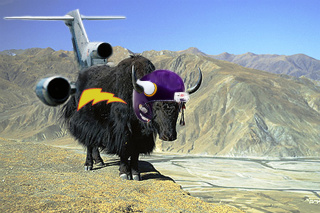 Our country reeks of trees! Our yaks are really large! yak with football helmet and jet engines