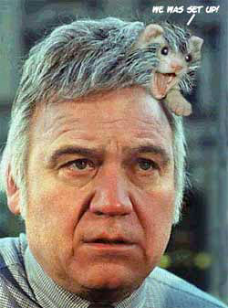 James Traficant, whose hair looks like an opossum, altered so that his hair IS an opossum