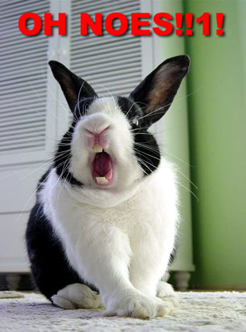 bunny yawning and looking distressed, caption 'Oh Noes!'