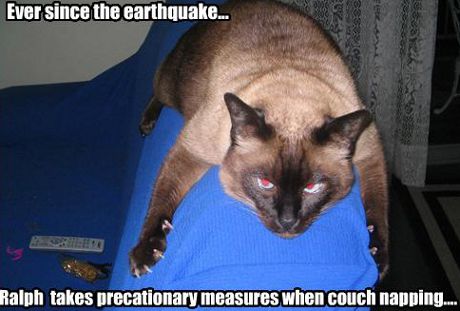 ever since the earthquake, Ralph takes precautionary measures while couch napping