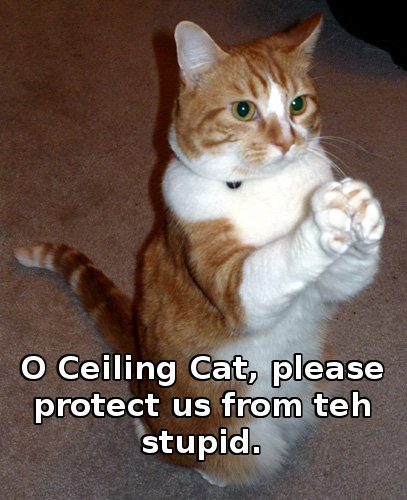 O Ceiling Cat, please protect us from teh stupid