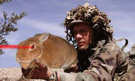 dangerous bunny with laser eyes