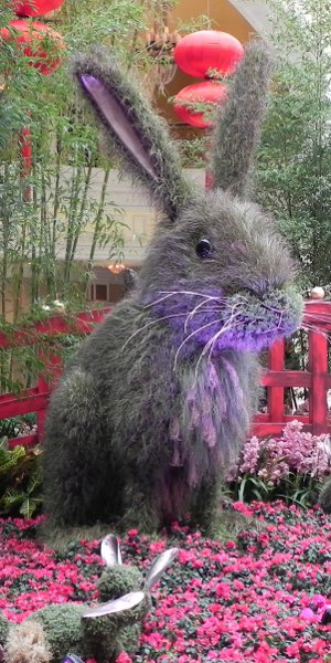 giant bunny in the Bellagio