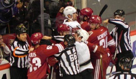 Coyotes and Kings players fighting during the hockey game
