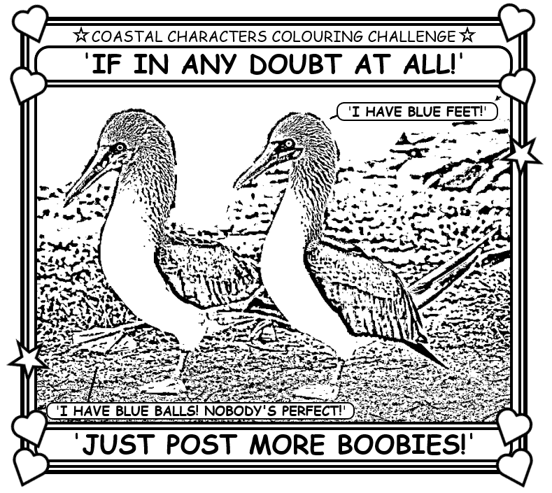 Coloring book page about how if there is any doubt at all, just post more boobies.