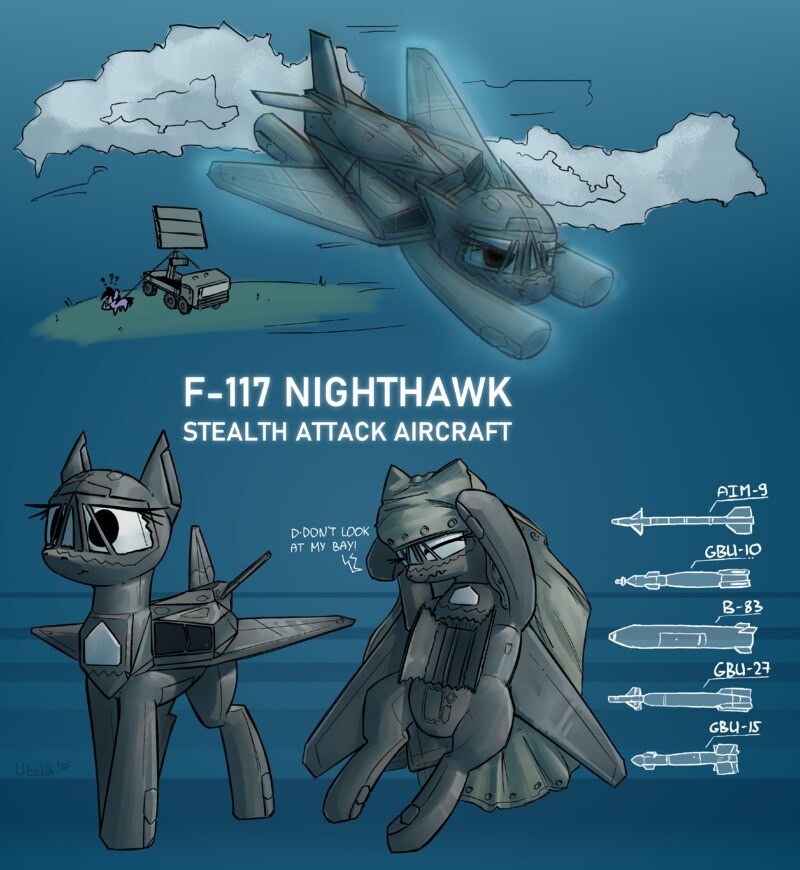 A pony who is also a stealth F-117 fighter.