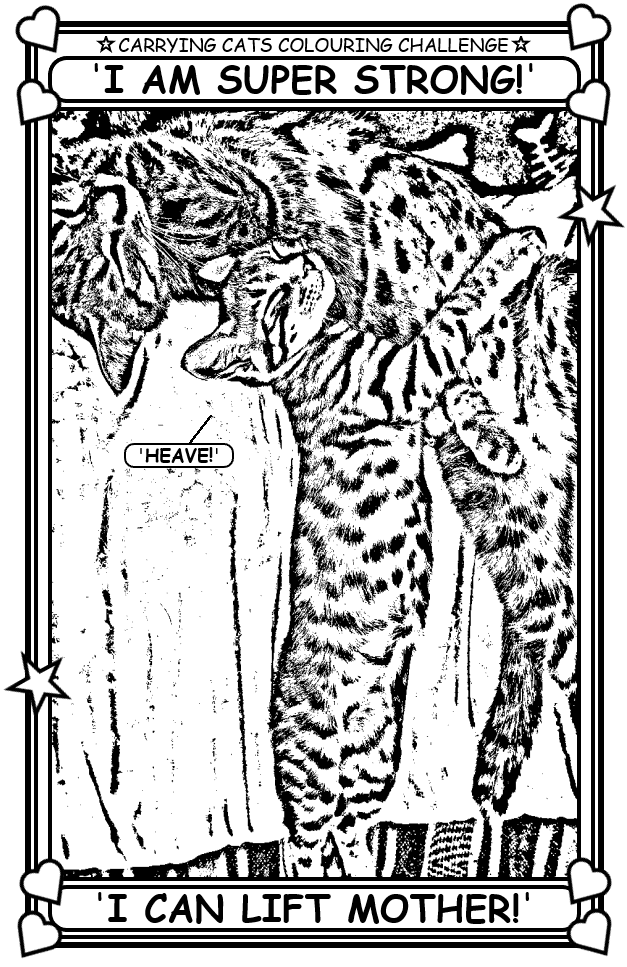 Coloring book page about cats.