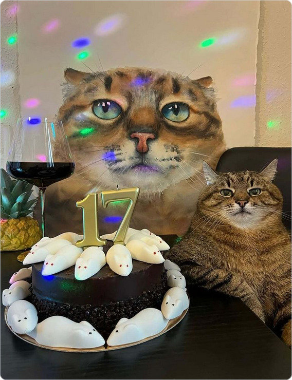 Ukrainian cat Stepan is 17 years old.