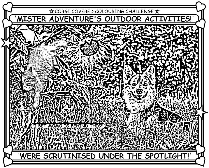 Coloring book page about dog Mr. Adventure.