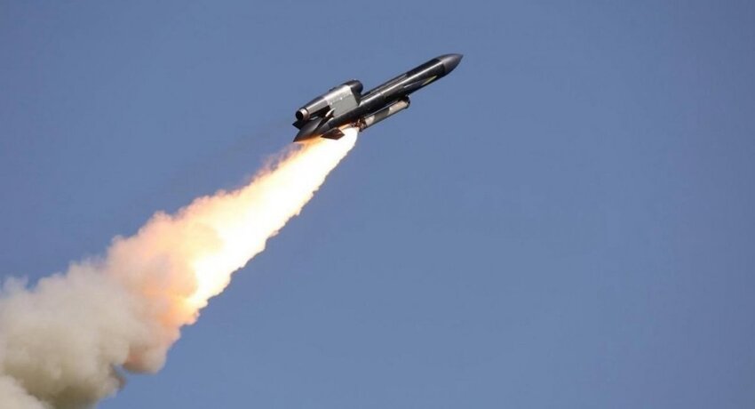 Is this a drone, or a cruise missile?