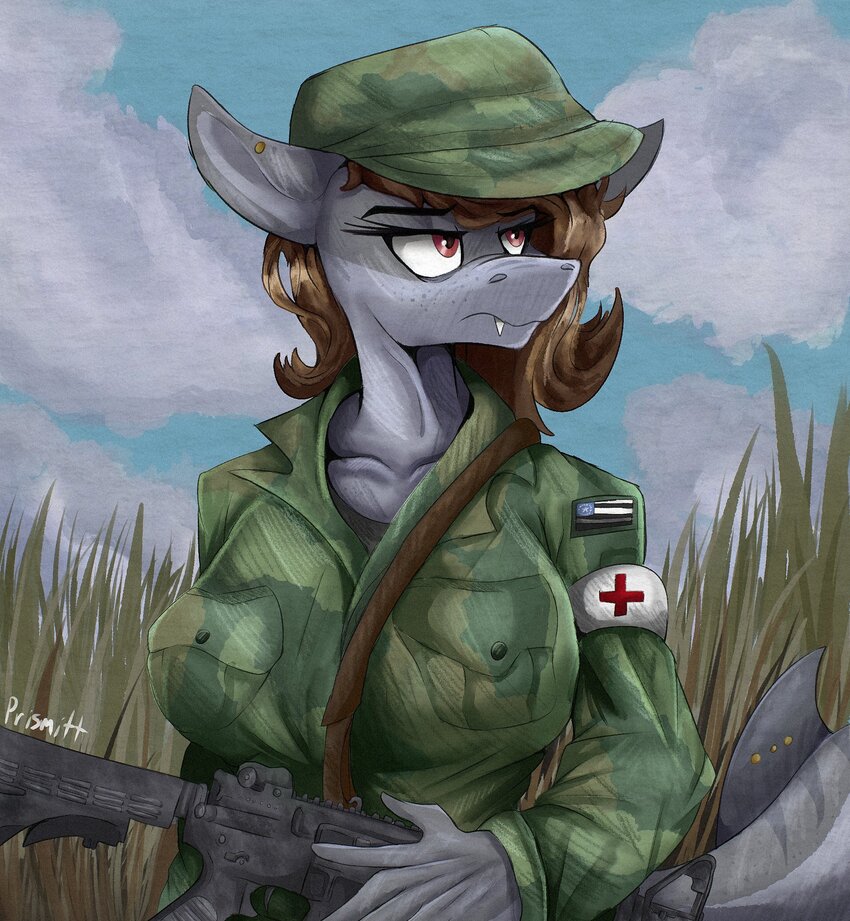 A pony with a medic armband.