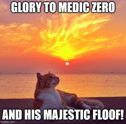 Glory to Medic Zero and his majestic floof!