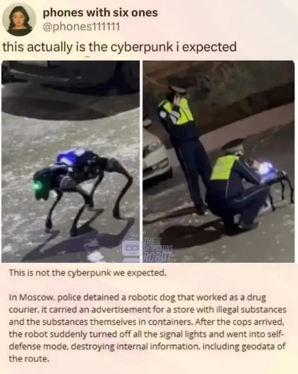 This is not the cyberpunk we expected: Dog drone carrying drugs detained by police, turned all its lights off and wiped itself.
