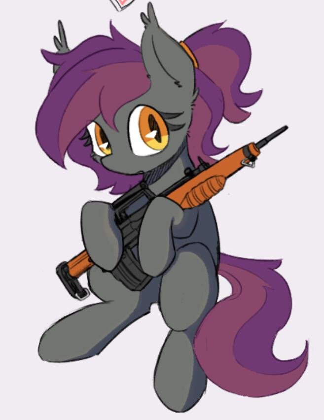 A pony with a rifle.