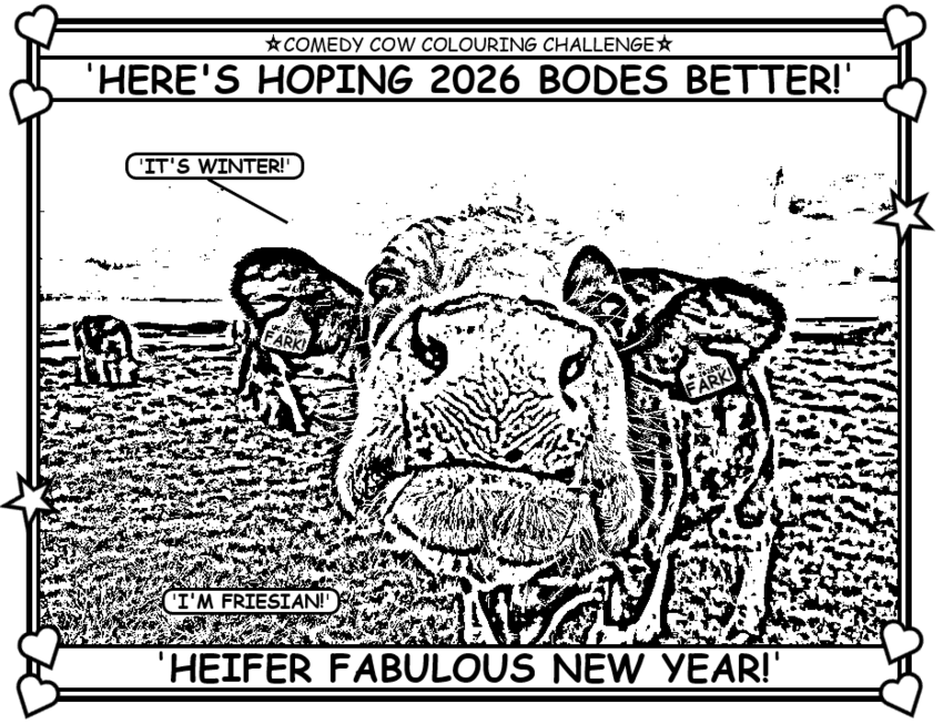 Coloring book page about a cow saying she hopes 2026 bodes better.