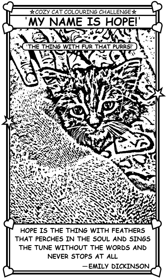 Coloring book page about a recently adopted feral cat.
