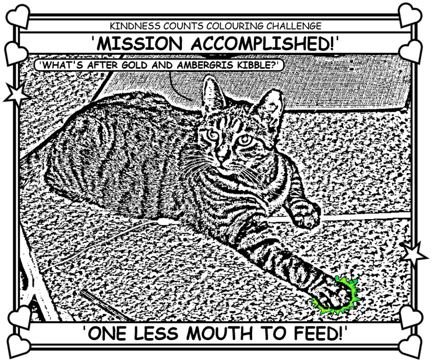 Coloring book page about Brownie the cat.