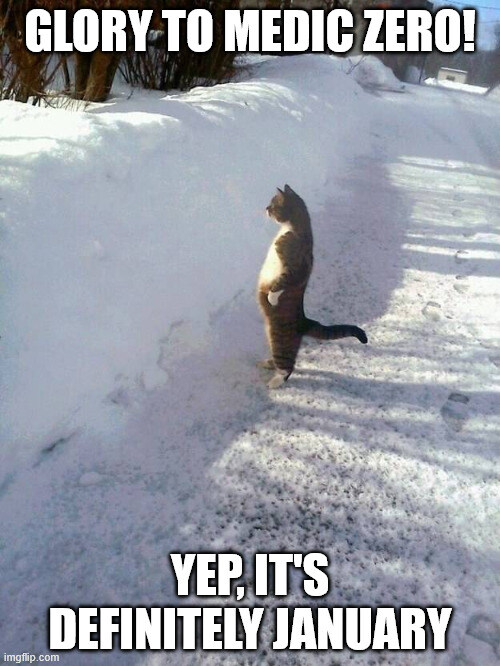 A cat stands up on its hind feet in the snow, captioned, 'Glory to Medic Zero, yep, it's definitely January.'