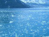 Lots of ice