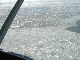 Lots of ice 2